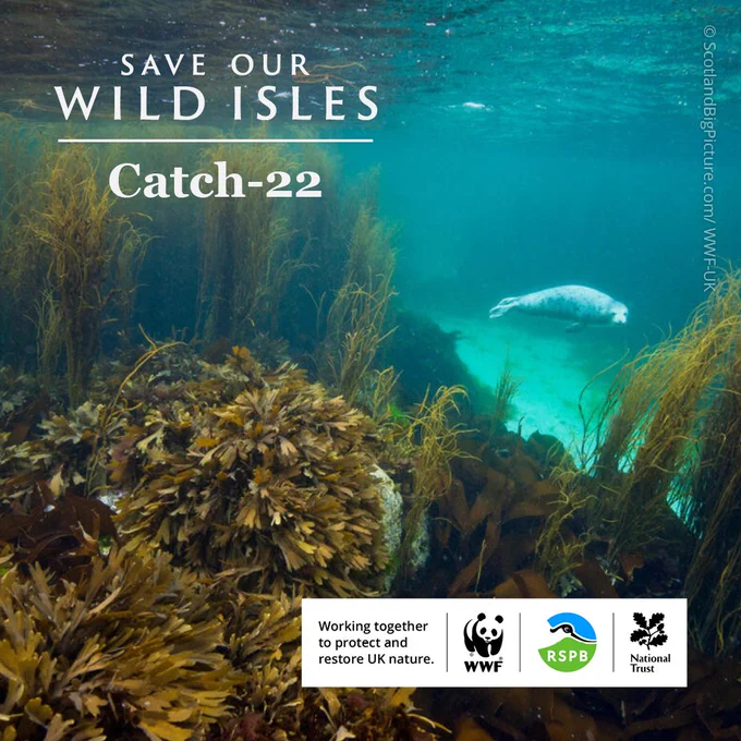 Save Our Wild Isles business film: Catch-22