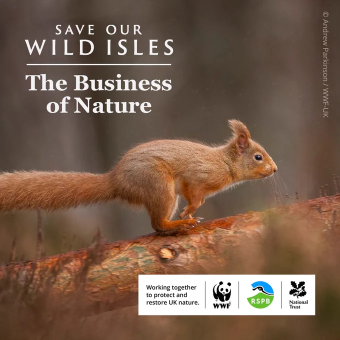 Save Our Wild Isles business film: The Business of Nature