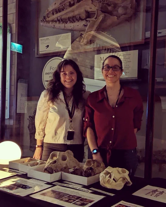 Lucile Créte and Karen Swan standing in the Marine Reptile gallery of the Natural History Museum in front of a table with 2 gibbon skulls, 2 gorilla skulls and a mandrill cast.