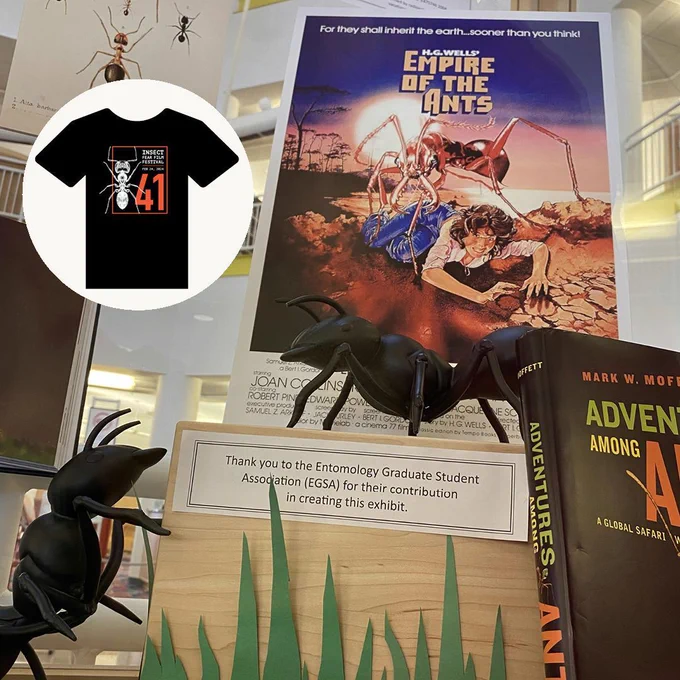 Photo of IFFF41 T-Shirt and close up of exhibit