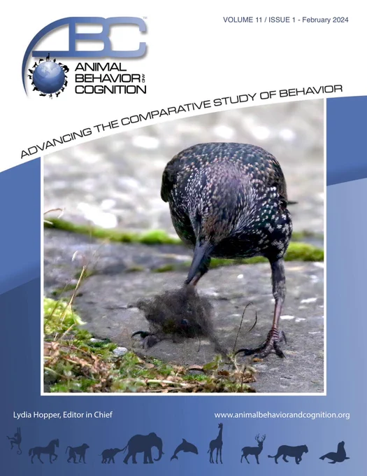 The cover image of the article