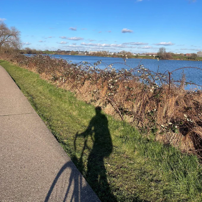image of cyclists at Walthamstow Wetlands 