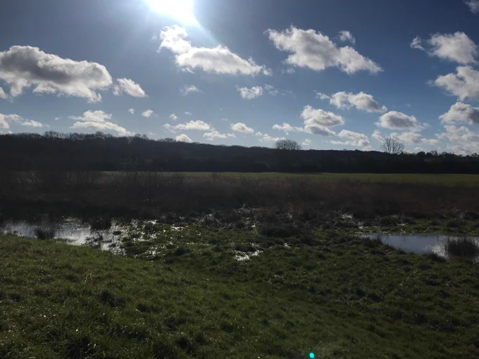 A partially flooded, grassland site with sun reflecting on pools of water.