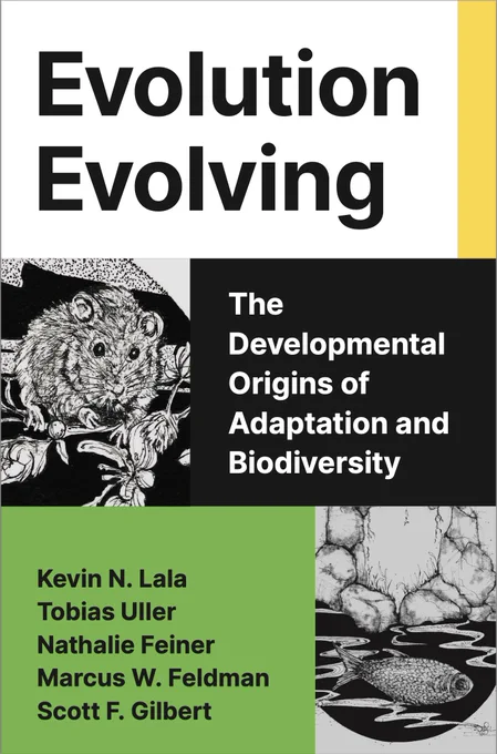 New book front cover