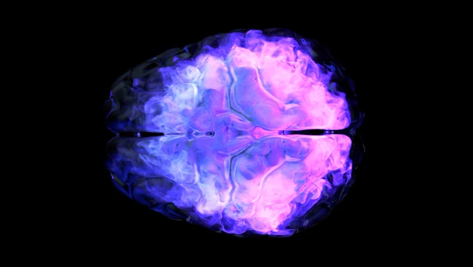 Pink and purple tinged image of the brain on a black background.