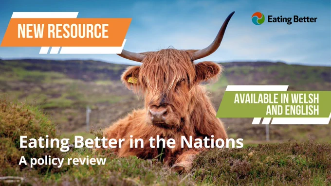 Designed as a tool for those working on food policy, this resource uses the roadmap to review government policy against 6 key actions areas. 