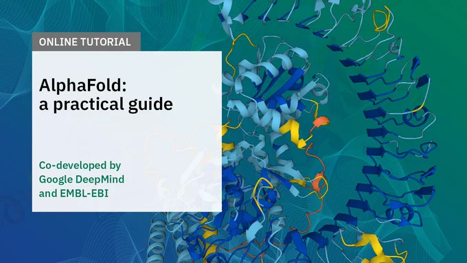 Online tutorial. AlphaFold: a practical guide. Co-developed by Google DeepMind and EMBL's European Bioinformatics Insitute (EMBL-EBI).
