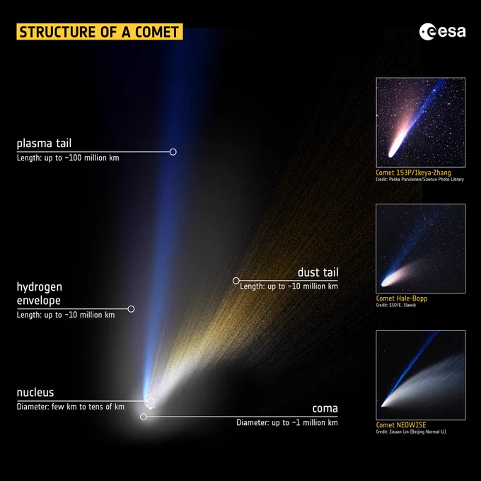 Infographie "Structure d'une comète"