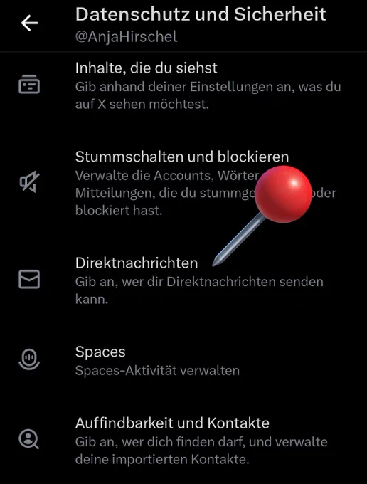 Screenshot der Twitter Einstellung
Eine Markierung zeigt auf den Menüpunkt
Direktnachrichten
