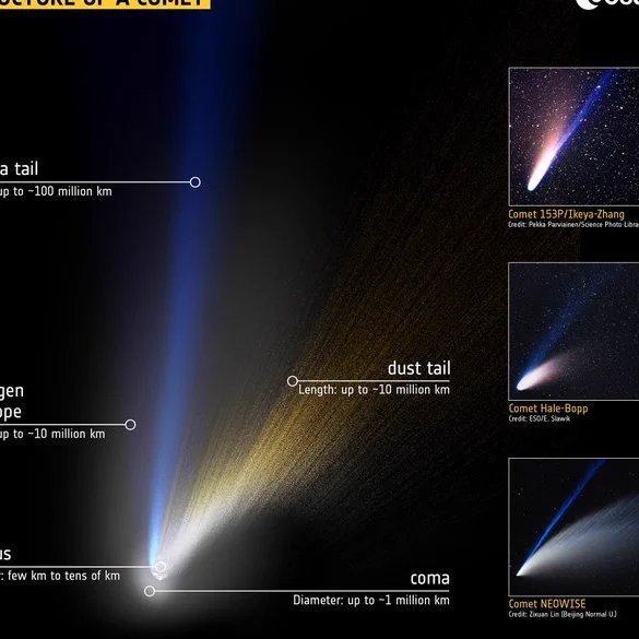 Infografica sulla struttura di una cometa. Immagine: ESA 