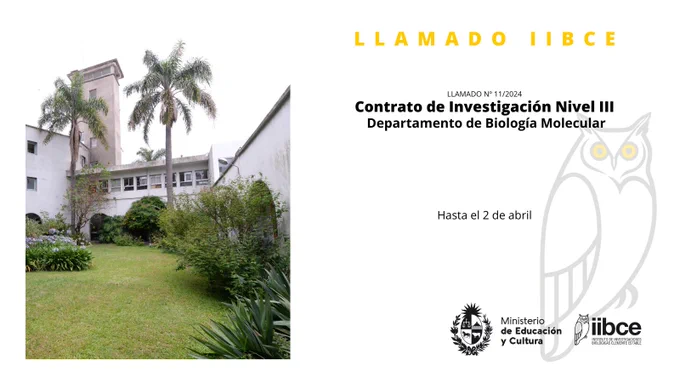 Llamado para contrato de investigación en el IIBCE