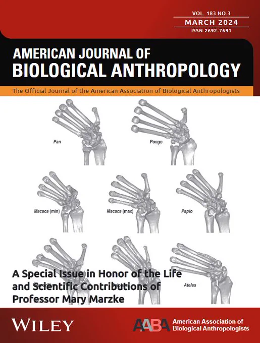 Cover of the March 2024 issue of the American Journal of Biological Anthropology. A special issue in honor of the life and scientific contributions of Professor Mary Marzke. Image features 3D renderings of primate hands in ulnar deviation produced by CT scanning (from Orr et al., 2024).