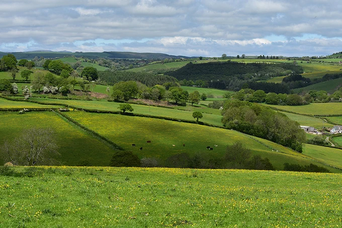 FUW countryside general-3