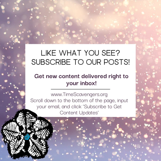 Background: Gold glitter against a blue to pink background. Foreground: White box with text that reads 'Like what you see? Subscribe to our posts! Get new content delivered right to your inbox!'