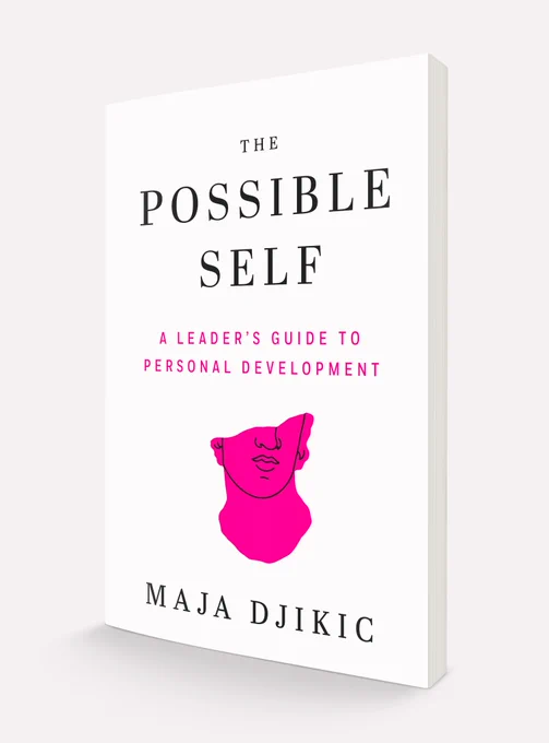 Cover for The Possible Self A Leader's Guide to Personal Development by Maja Djikic 