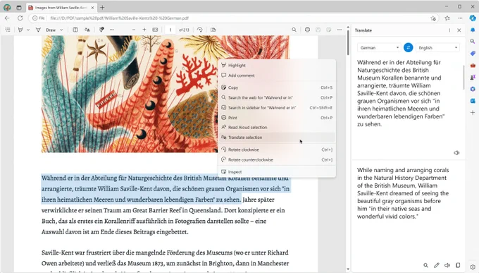 A screengrab of an open PDF document with an illustration of various corals in vibrant red, orange, and green hues. There is German text on the left side and an open translation tool on the right. The translation tool is converting the German text to English.
