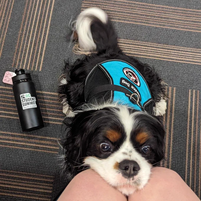 The cutest pup on Capitol Hill