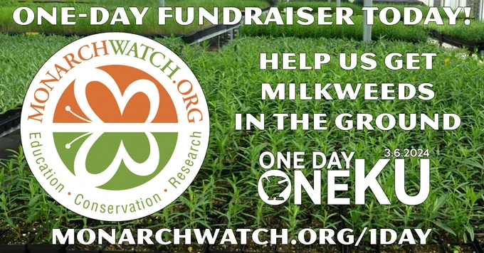 Monarch Watch One-Day Fundraiser Today!