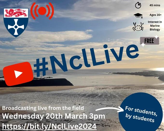An advert for #NclLive live broadcast. Includes the crest of Newcastle University and the link to register for the broadcast https://bit.ly/NclLive2024. Image also includes following information about the live broadcast: 45 minutes long, suitable for ages 16 , with an interest in marine biology, free event. Broadcasting live from the field on Wednesday 20th March 3pm. 