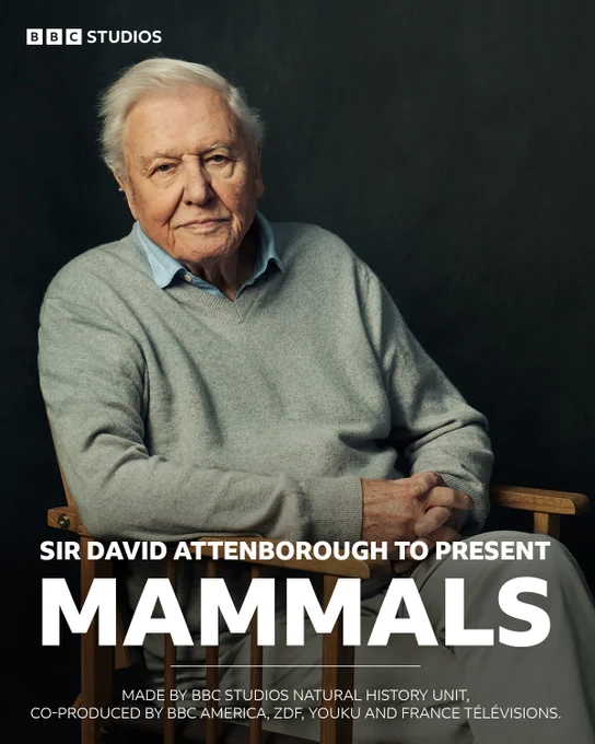 News card with BBC Studios logo and the following caption: “Sir David Attenborough to present Mammals, Made by BBC Studios Natural History Unit, co-produced by BBC America, ZDF, Youku and France Télévisions.” Overlaid across a portrait of Sir David Attenborough, he is pictured sat down against a black backdrop.