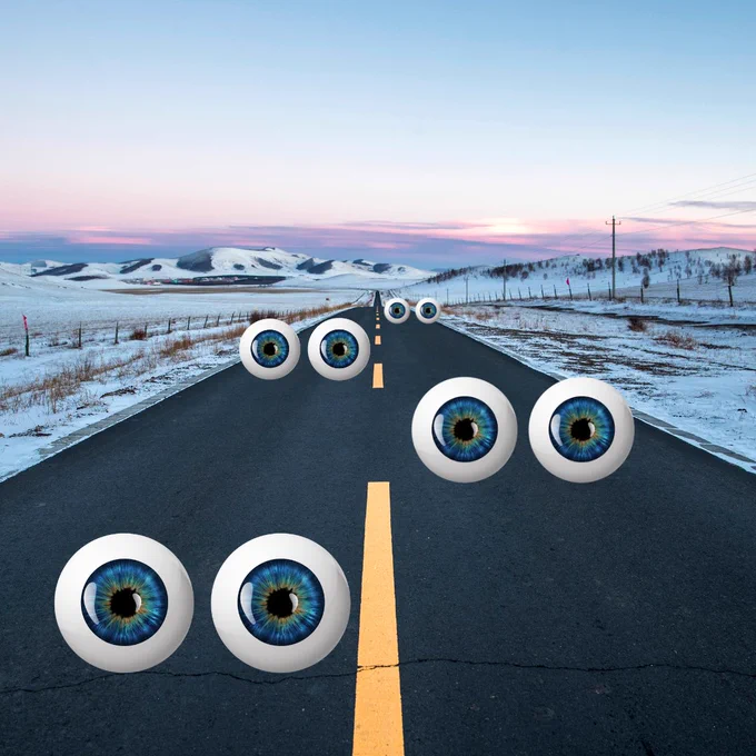 A photo of a paved roadway with snow on either side and mountains in the distance and several pairs of eyes on the road. 