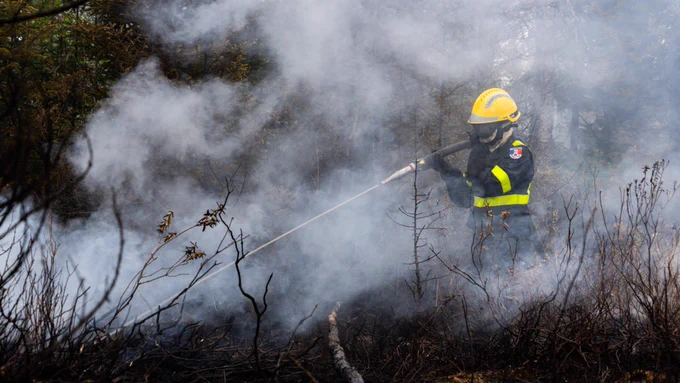 Sapeur sauveteur en intervention pour lutter contre un feu de forêt