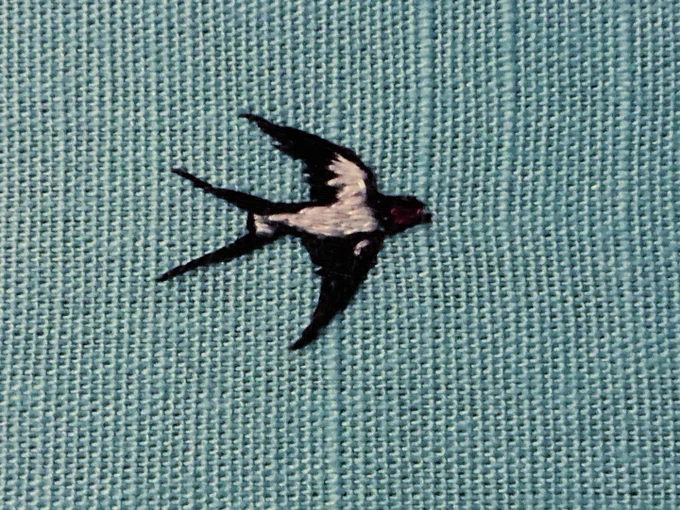 A close up of one of the swallows
