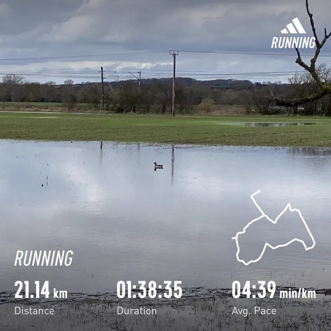Duck floating on waterlogged field; running stats superimposed on top
