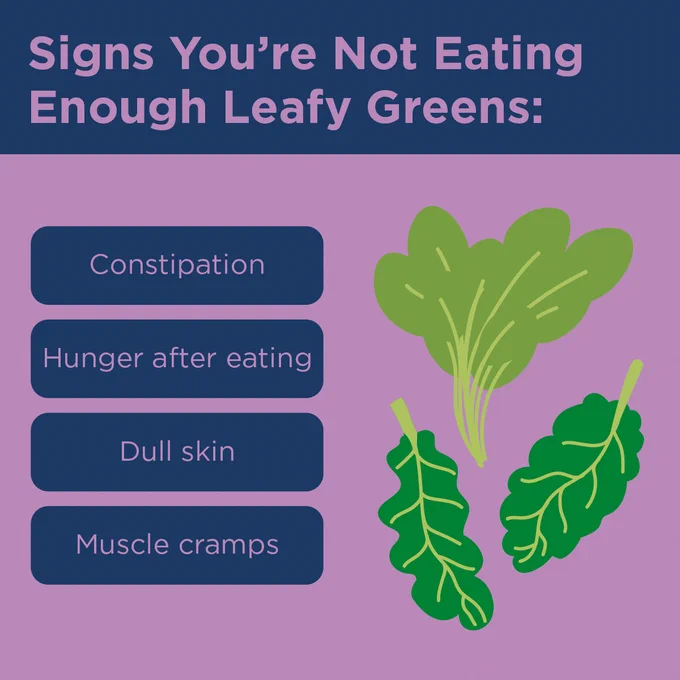 Signs You're Not Eating Enough Leafy Greens:
Constipation
Hunger after eating
Dull skin
Muscle cramps