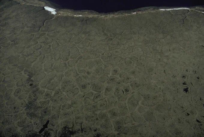 Permafrost polygons in the Western Arctic National Parklands, January 2013, by Western Arctic National Parklands via Flickr