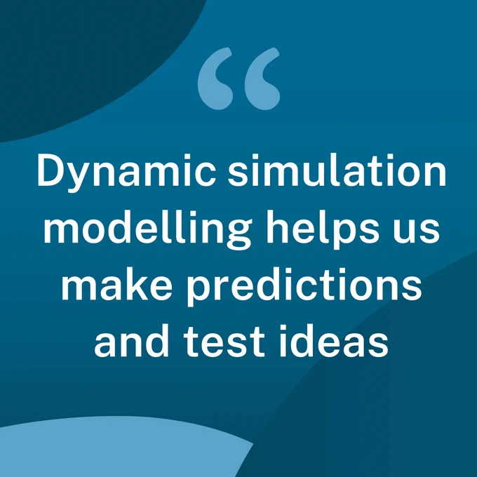 Text: Dynamic simulation modelling helps us make predictions and test ideas