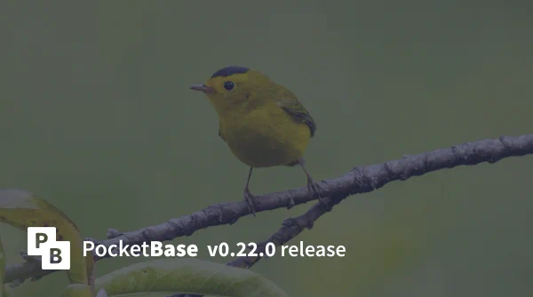 PocketBase v0.22.0 release banner with Yellow warbler in the background.