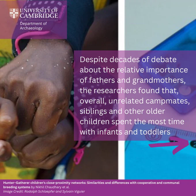 Despite decades of debate about the relative importance of fathers and grandmothers, the researchers found that, overall, unrelated campmates, siblings and other older children spent the most time with infants and toddlers