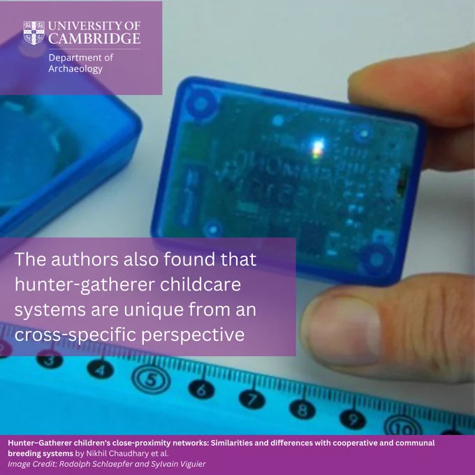 The authors also found that hunter-gatherer childcare systems are unique from an cross-specific perspective