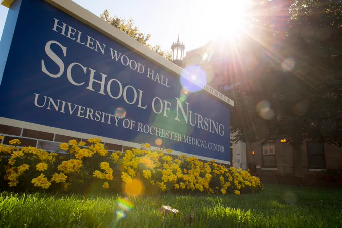 Sun beams shine down on the blue School of Nursing sign, which is surrounded by yellow flowers in the grass. 