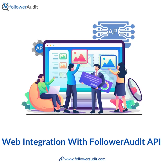Web Integration With Follower Audit API