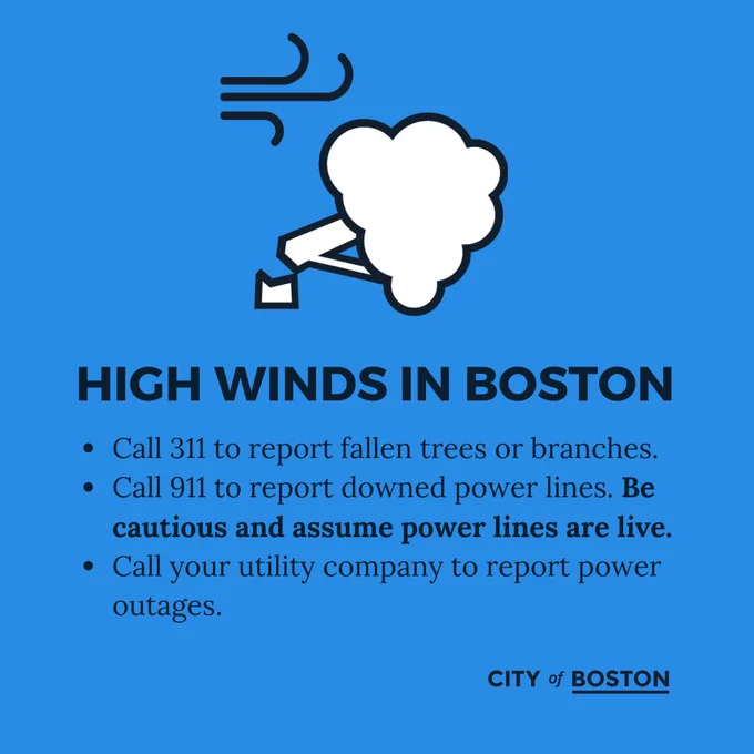 graphic with icon of tree blowing over in the wind and same text as caption