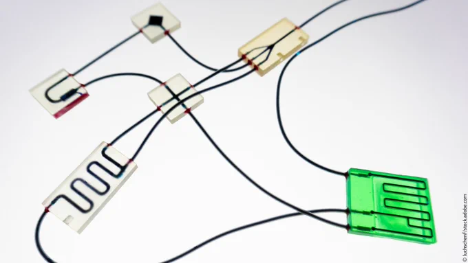 Several chips and cables.
