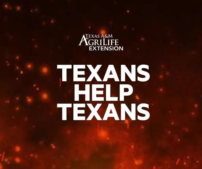 Texans helping Texans