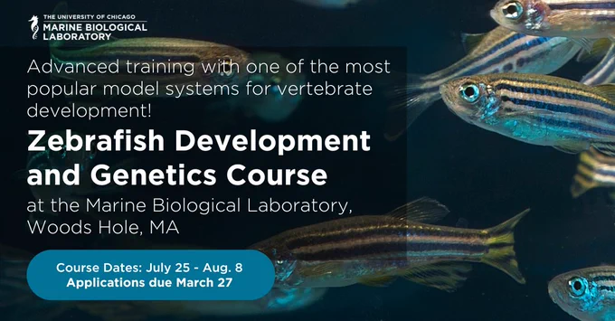 TEXT READS: Advanced training with one of the most popular model systems for vertebrate development! Zebrafish Development and Genetics Course at the Marine Biological Laboratory, Woods Hole, MA. Course Dates: July 25 to Aug 8. Applications due March 27. 