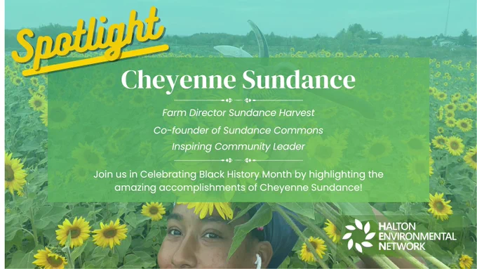 Cheyenne Sundance manages Sundance Harvest, a farm in Ontario, operating at two locations and selling vegetables through markets. Sundance Harvest has been growing nutrient-dense food since 2019. Cheyenne is also a co-founder of Sundance Commons, a non-profit supporting new farmers in southwestern Ontario by providing land access and educational training. Cheyenne loves growing great crops but more than that has a history of helping grow new farmers through her teaching at Sundance Commons.