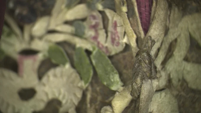 Enlarged image of knot, with pigments in the background.