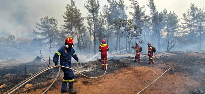 Fours firefighters with water hoses putting out a forest fire.