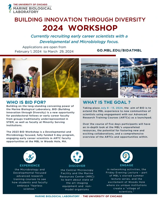 A posted describing the 2024 Building Innovation Through Diversity (BID) workshop at the Marine Biological Laboratory. Currently recruiting early career scientists with a focus on developmental and microbiology. Applications due March 29, 2024. More information available at go.mbl.edu/BIDatMBL