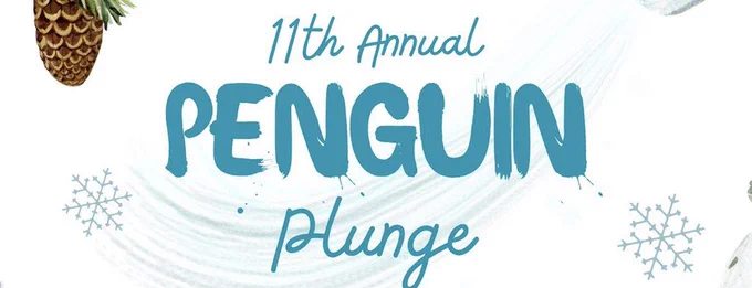 RDS Penguin Plunge 2024