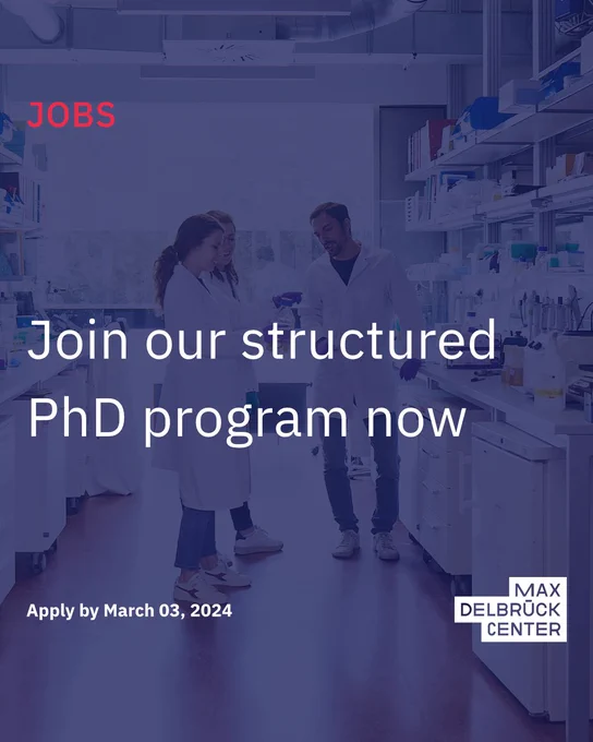 Join our structured PhD program now
Apply by March 03, 2024