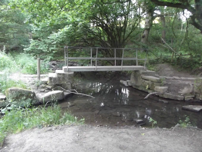 Image shows a bridge over a small beck with several steps up at each end. At the left hand end of the bridge, a post has been installed in the middle of the path further obstructing access. There is a large gap beneath the bottom railing on each side of the bridge. Guidelines for rural bridges published decades ago specify the initial step up should be no more than 5mm, and there should be a gap of no more than 75mm below the bottom railing for safety reasons. Additionally this bridge is little more than half the specified width of 1200mm.