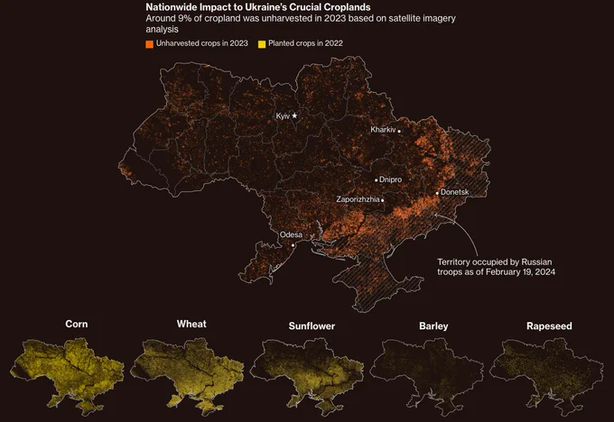 Small multiple maps showing where the war has caused damage to crop, causing the land to be unharvested, and showing where crops grow around the country - corn, wheat, sunflower, barley and rapeseed
