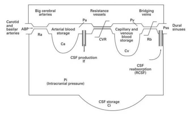 The unilateral hydrodynamic model proposed by Czosnyka 