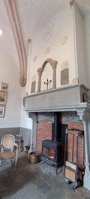 View of the fireplace